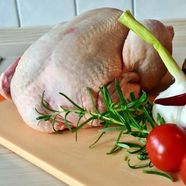 Broiler Chicken (Farm)